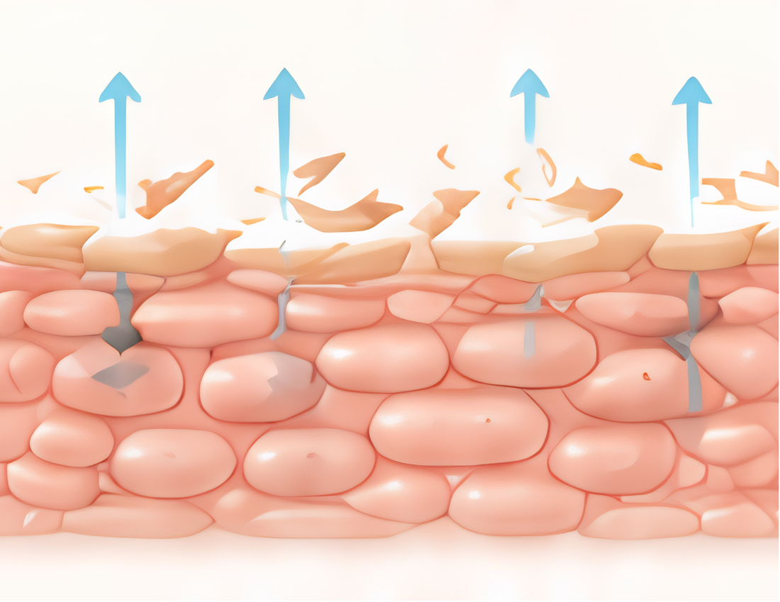 7 Signs Your Skin Barrier Is Damaged and How to Fix It